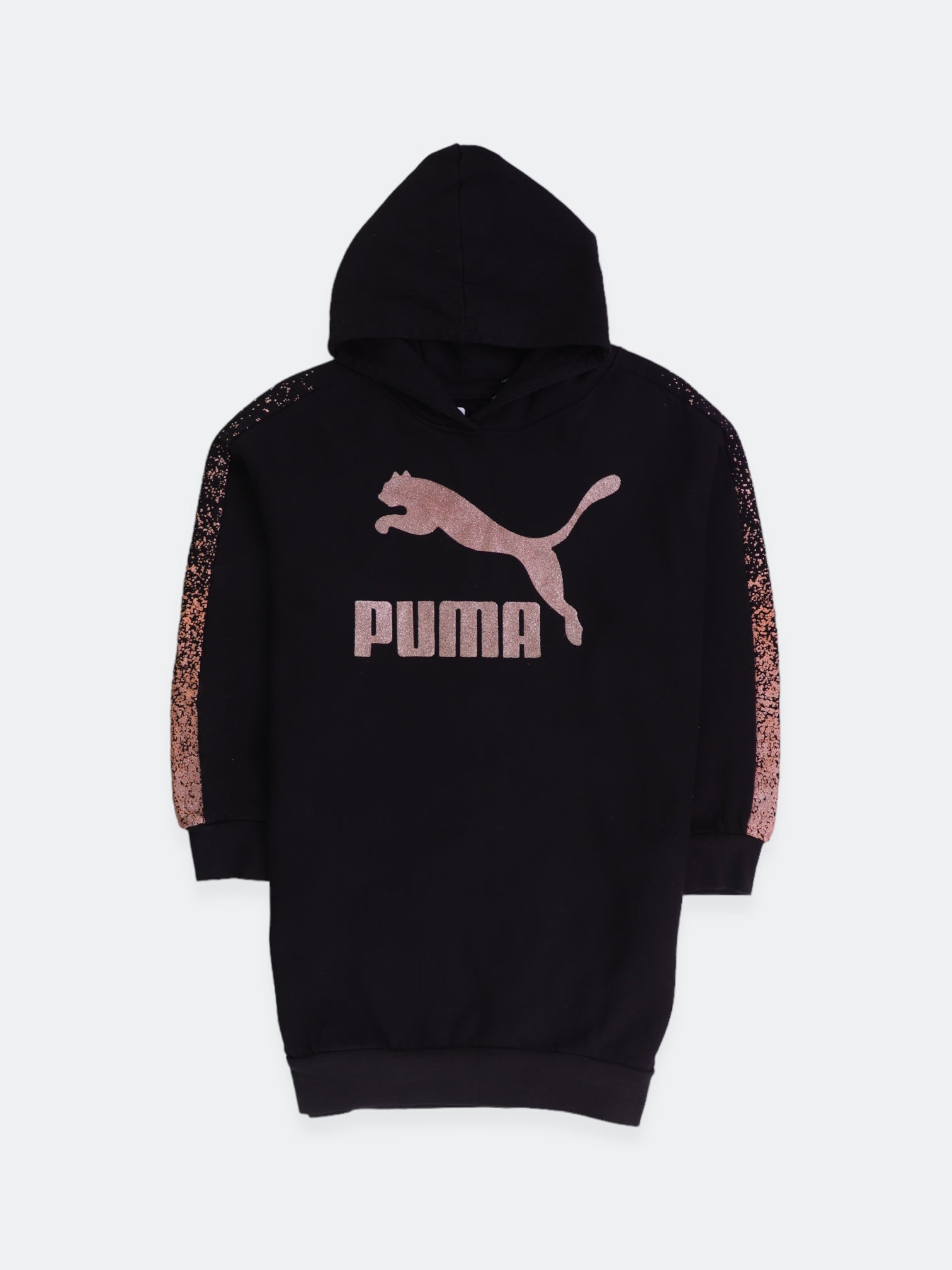 Puma Sudadera Hoodie Basic - Niña - XL - 14-16Y (Años)