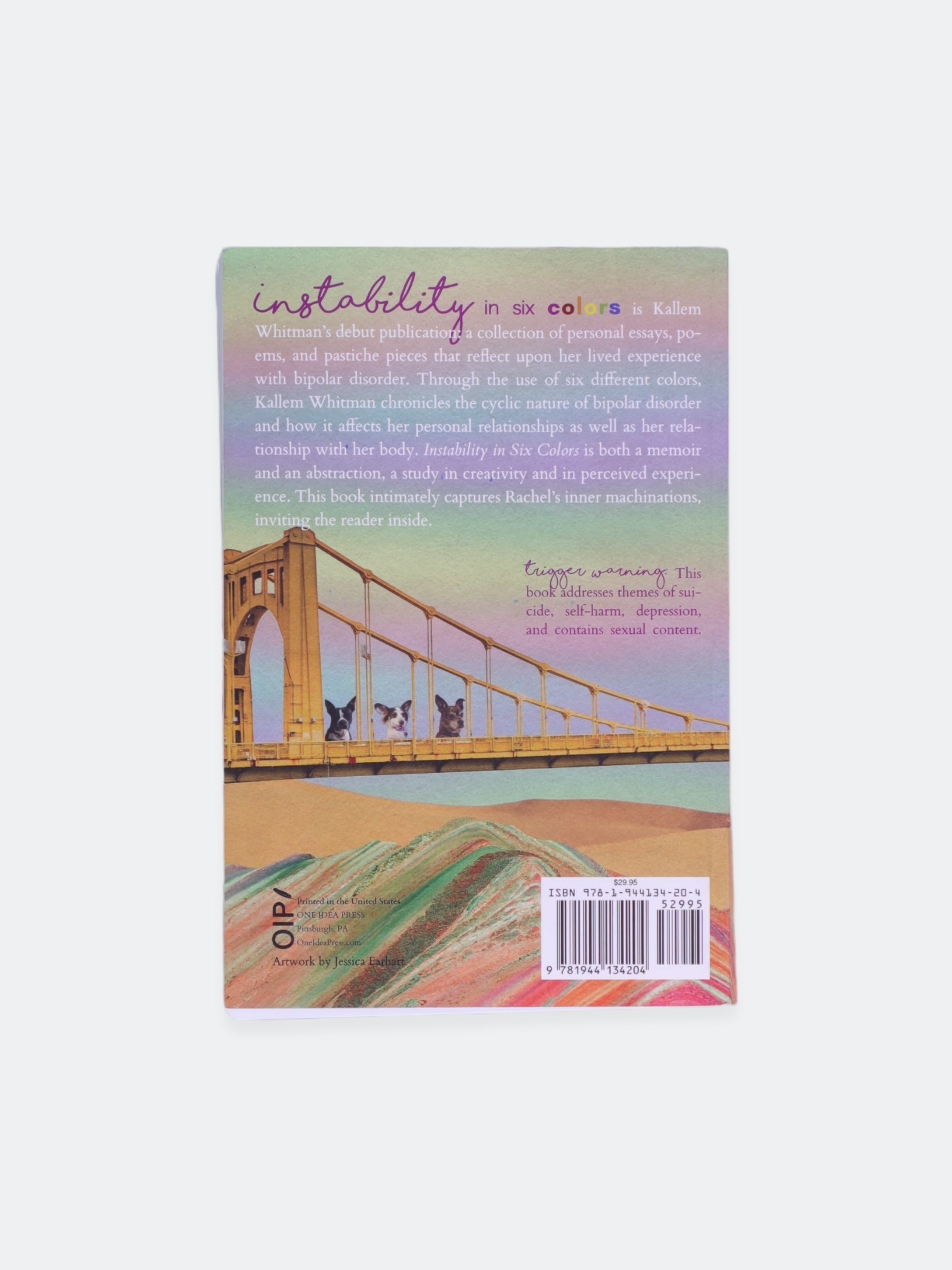 Libro INSTABRILITY by RACHEL KALLEM WHITMAN