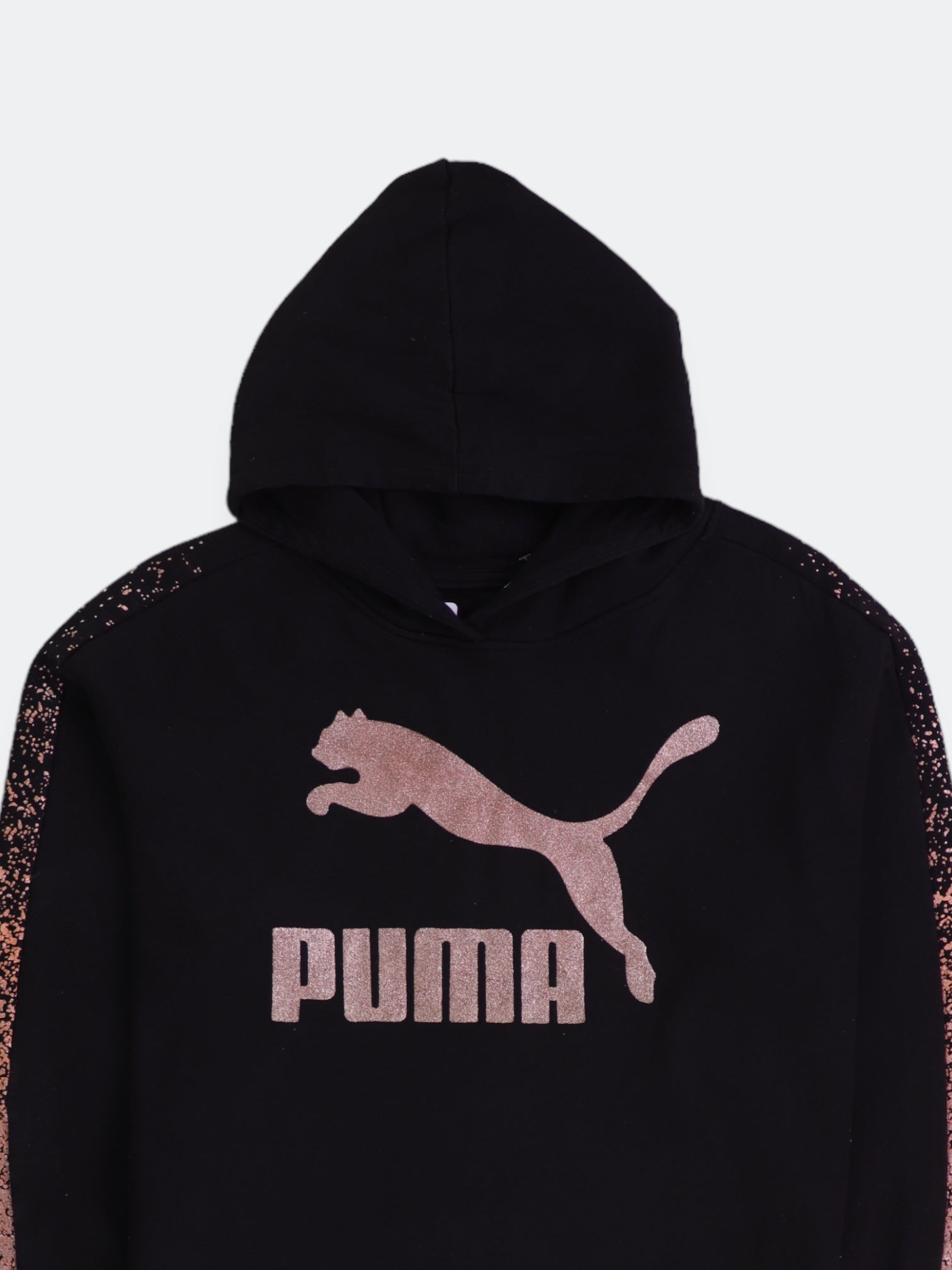 Puma Sudadera Hoodie Basic - Niña - XL - 14-16Y (Años)